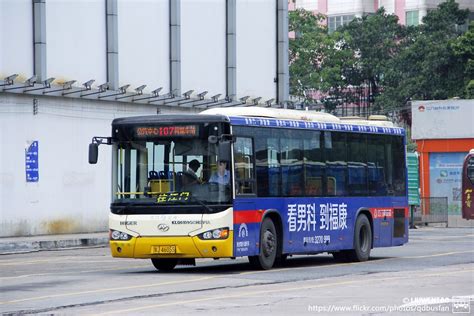 從番禺到江門多少錢？車程與渡輪的選擇